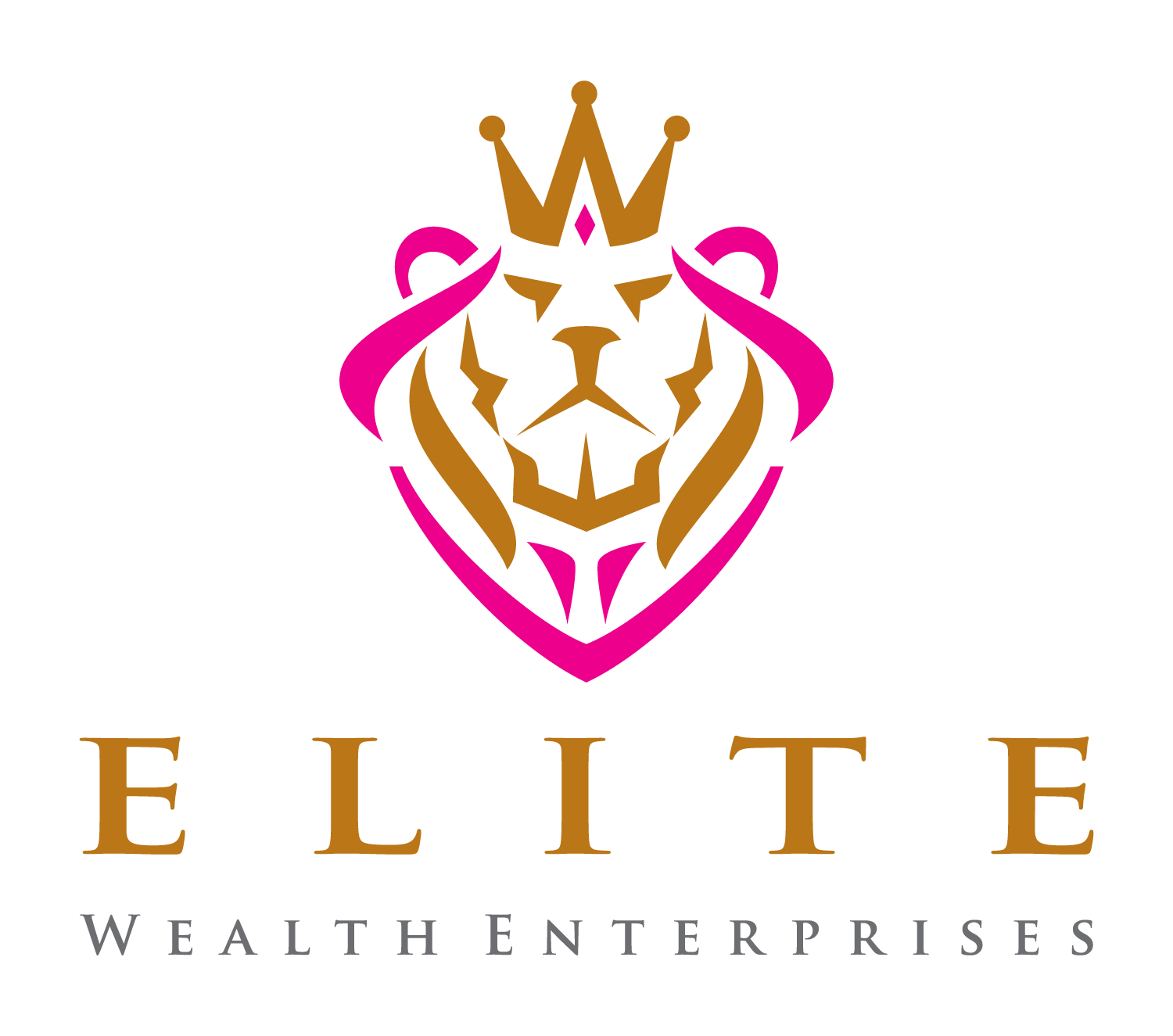 Elite Wealth Enterprises, LLC Credit Builder Card